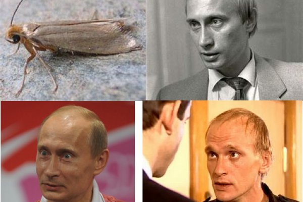 Кракен личный кабинет